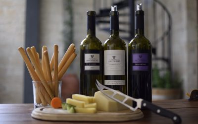 Trouver l’accord parfait entre le vin et le fromage