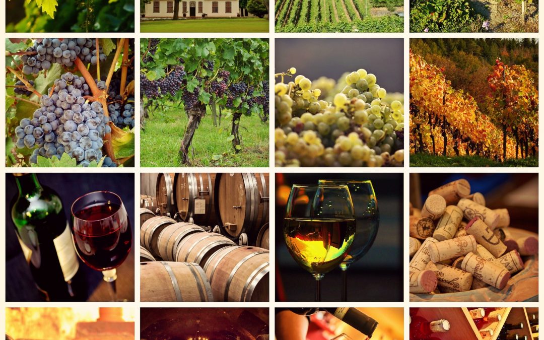 Quels sont les differents types de vin en France ?
